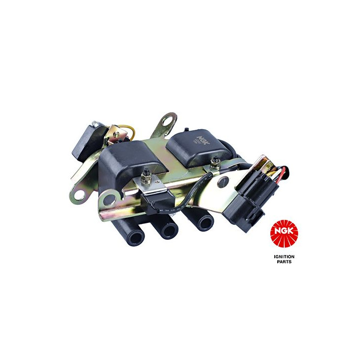 Ritė, uždegimas NGK 48189