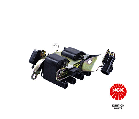 Ritė, uždegimas NGK 48189