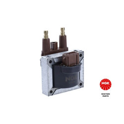 Ritė, uždegimas NGK 48190