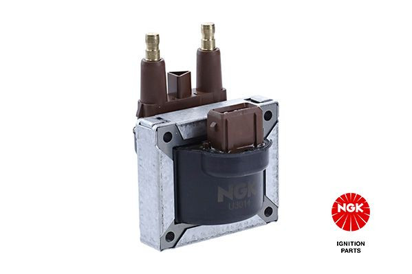 Ritė, uždegimas NGK 48190