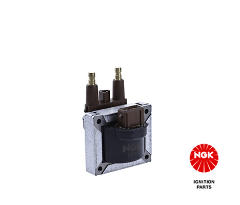 Ritė, uždegimas NGK 48190