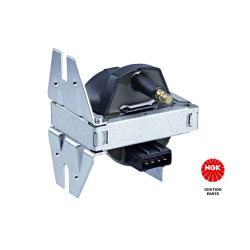 Ritė, uždegimas NGK 48191