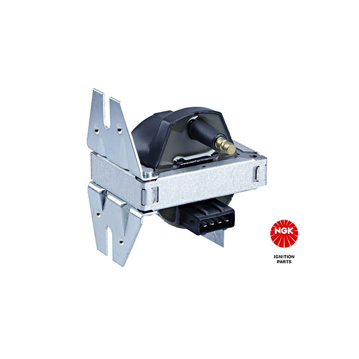 Ritė, uždegimas NGK 48191