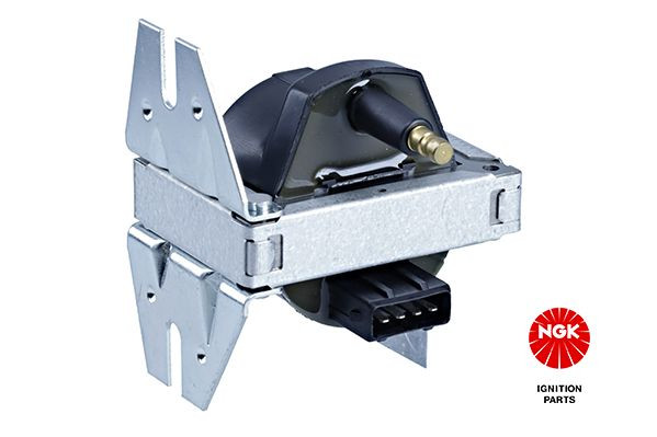 Ritė, uždegimas NGK 48191