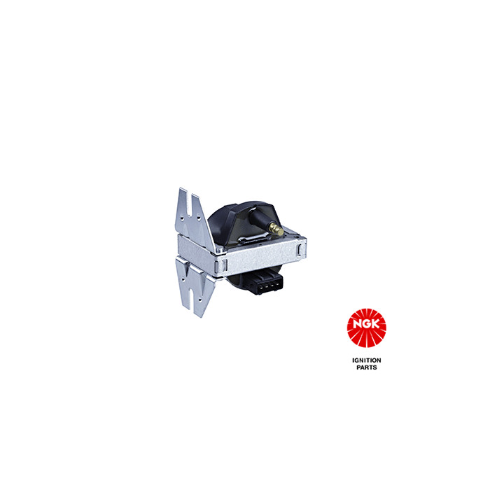 Ritė, uždegimas NGK 48191