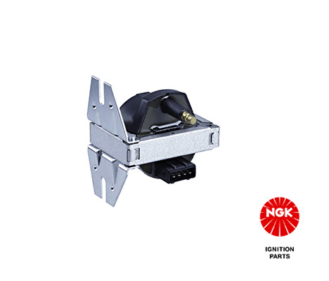 Ritė, uždegimas NGK 48191