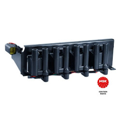 Ritė, uždegimas NGK 48196