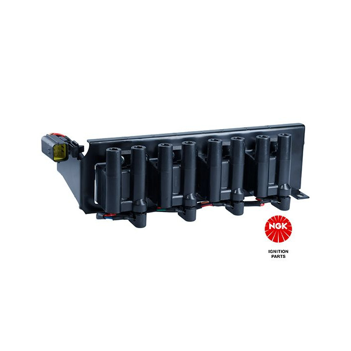 Ritė, uždegimas NGK 48196