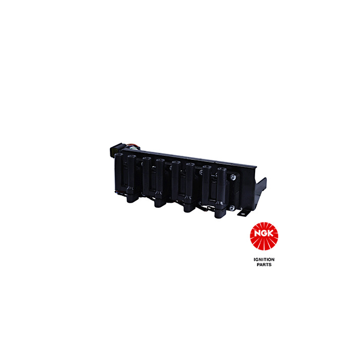 Ritė, uždegimas NGK 48196