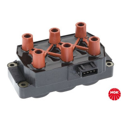 Ritė, uždegimas NGK 48197