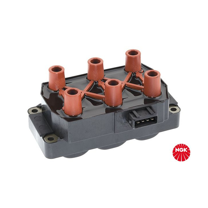 Ritė, uždegimas NGK 48197