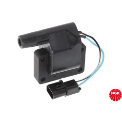 Ritė, uždegimas NGK 48199