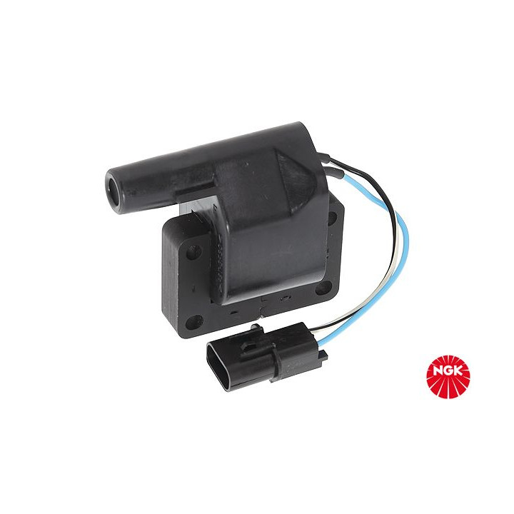 Ritė, uždegimas NGK 48199