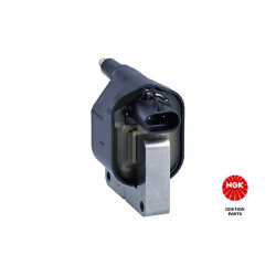 Ritė, uždegimas NGK 48204