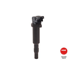 Ritė, uždegimas NGK 48206