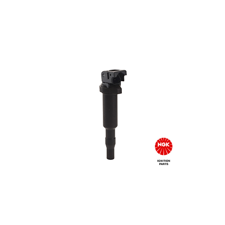 Ritė, uždegimas NGK 48206