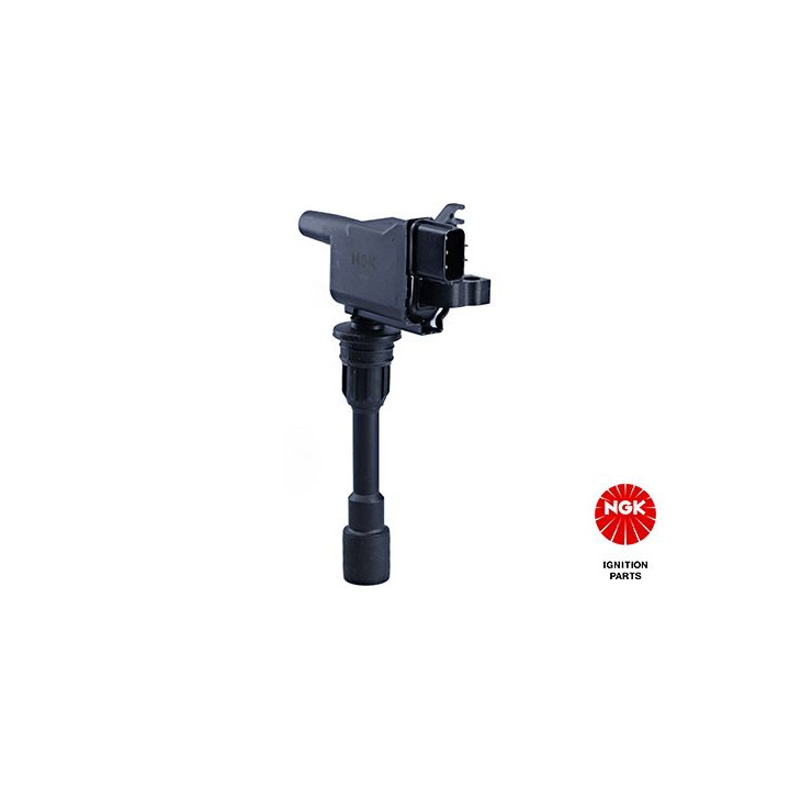 Ritė, uždegimas NGK 48208