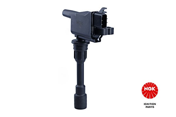 Ritė, uždegimas NGK 48208