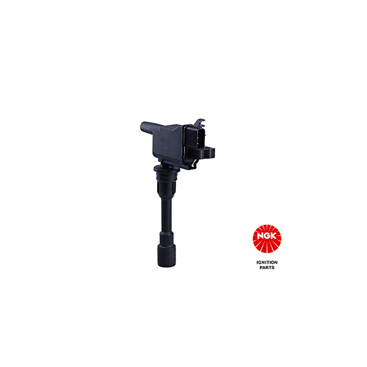 Ritė, uždegimas NGK 48208