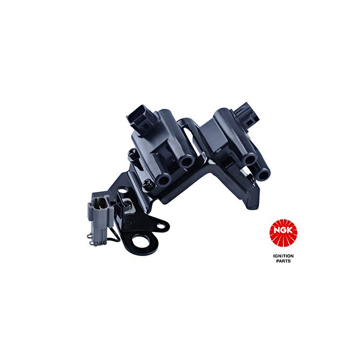 Ritė, uždegimas NGK 48209