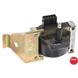 Ritė, uždegimas NGK 48212