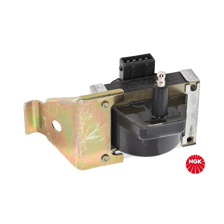 Ritė, uždegimas NGK 48212