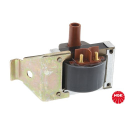 Ritė, uždegimas NGK 48213