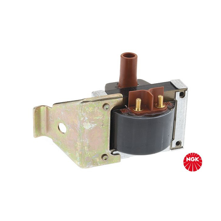 Ritė, uždegimas NGK 48213