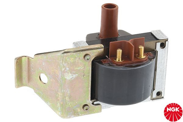 Ritė, uždegimas NGK 48213