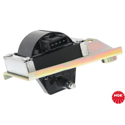 Ritė, uždegimas NGK 48214