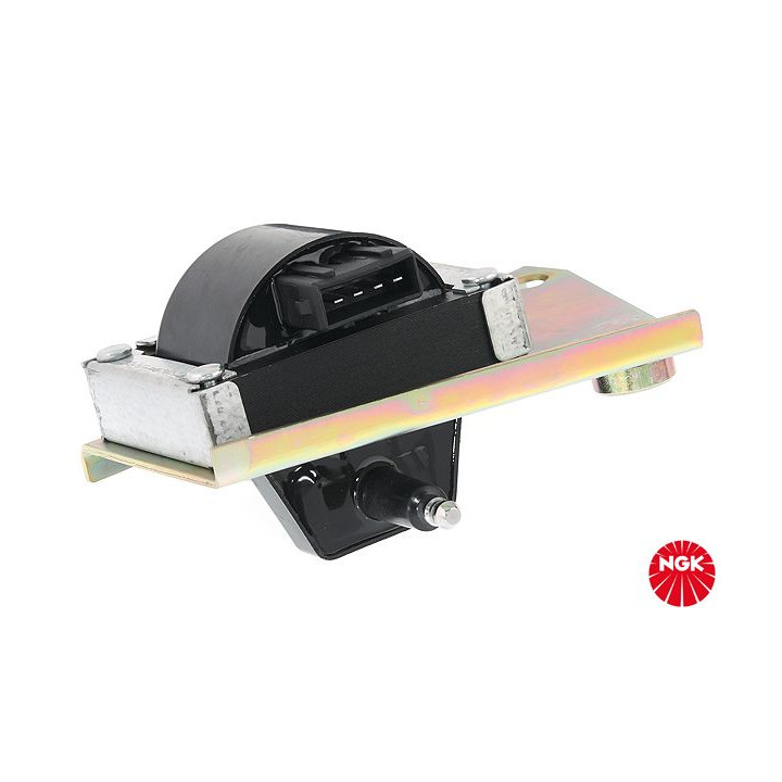 Ritė, uždegimas NGK 48214