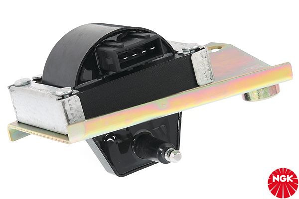 Ritė, uždegimas NGK 48214