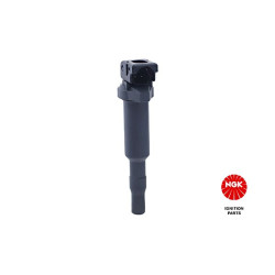 Ritė, uždegimas NGK 48216