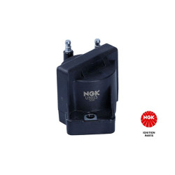 Ritė, uždegimas NGK 48218