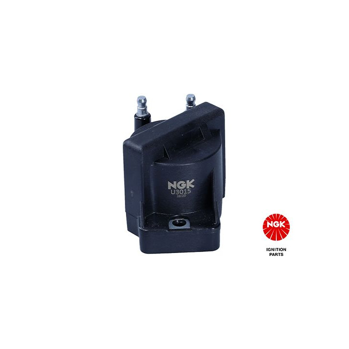 Ritė, uždegimas NGK 48218