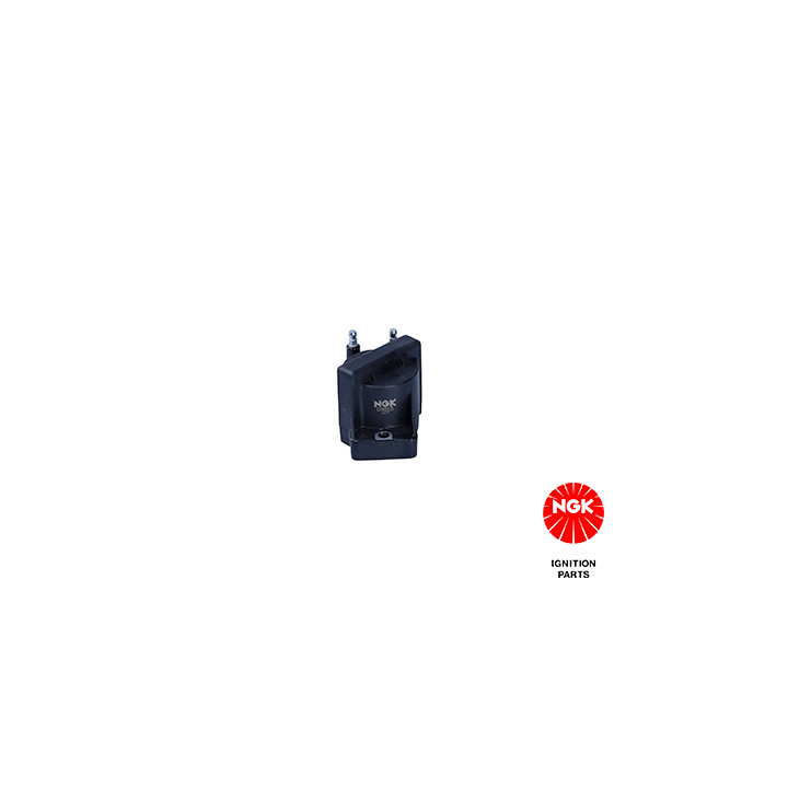 Ritė, uždegimas NGK 48218