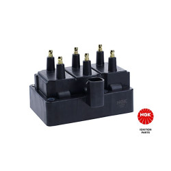 Ritė, uždegimas NGK 48220