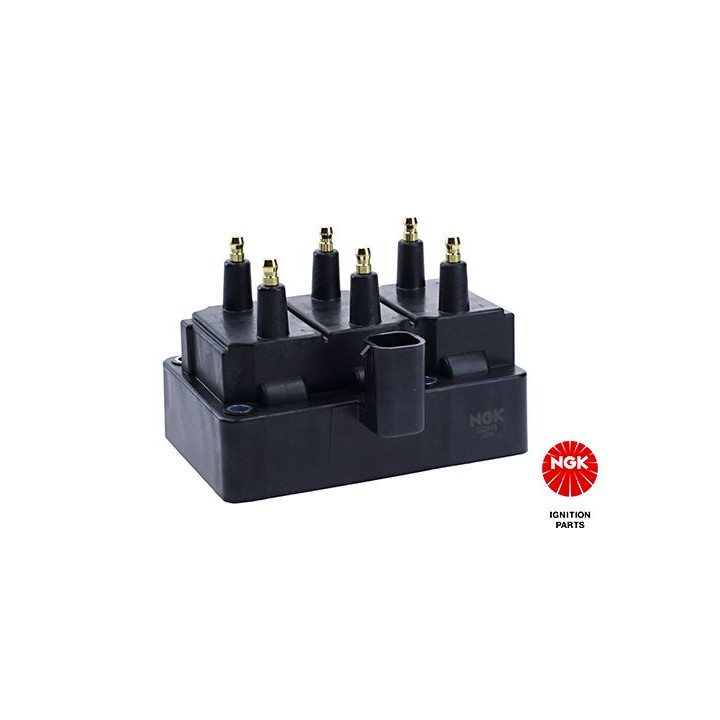 Ritė, uždegimas NGK 48220