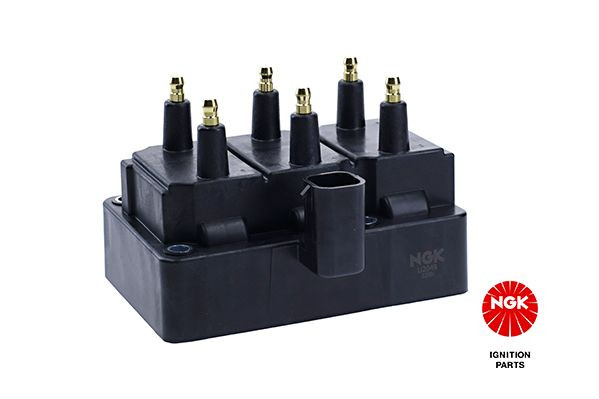 Ritė, uždegimas NGK 48220