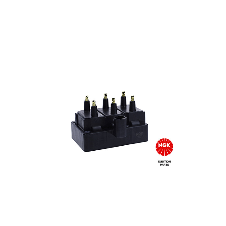 Ritė, uždegimas NGK 48220