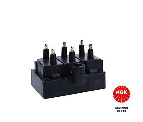 Ritė, uždegimas NGK 48220