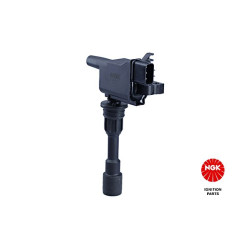 Ritė, uždegimas NGK 48223