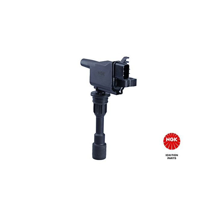 Ritė, uždegimas NGK 48223