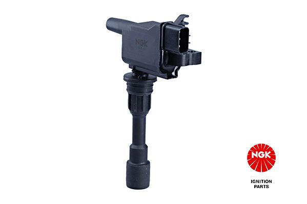 Ritė, uždegimas NGK 48223