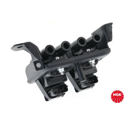 Ritė, uždegimas NGK 48224