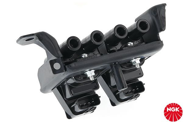 Ritė, uždegimas NGK 48224