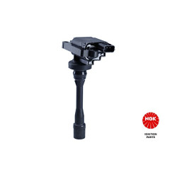 Ritė, uždegimas NGK 48225