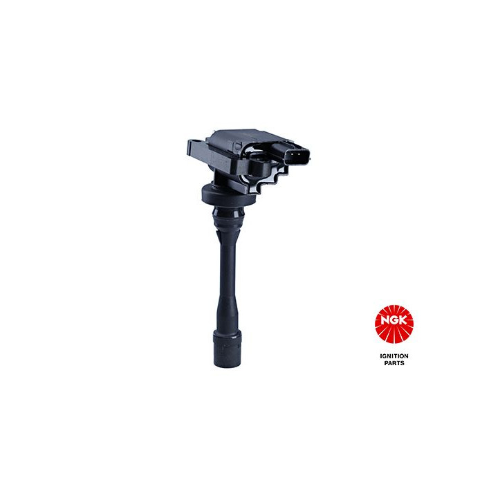 Ritė, uždegimas NGK 48225