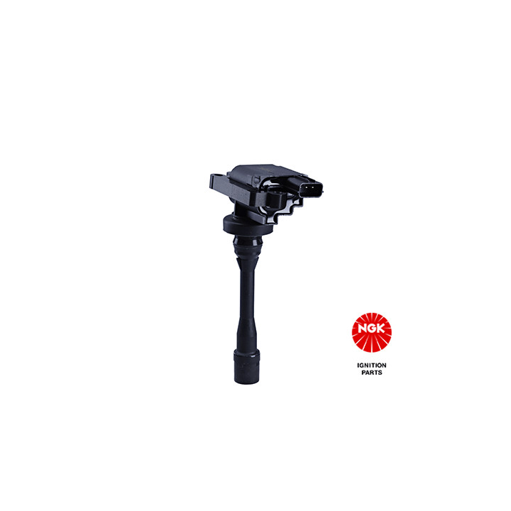 Ritė, uždegimas NGK 48225