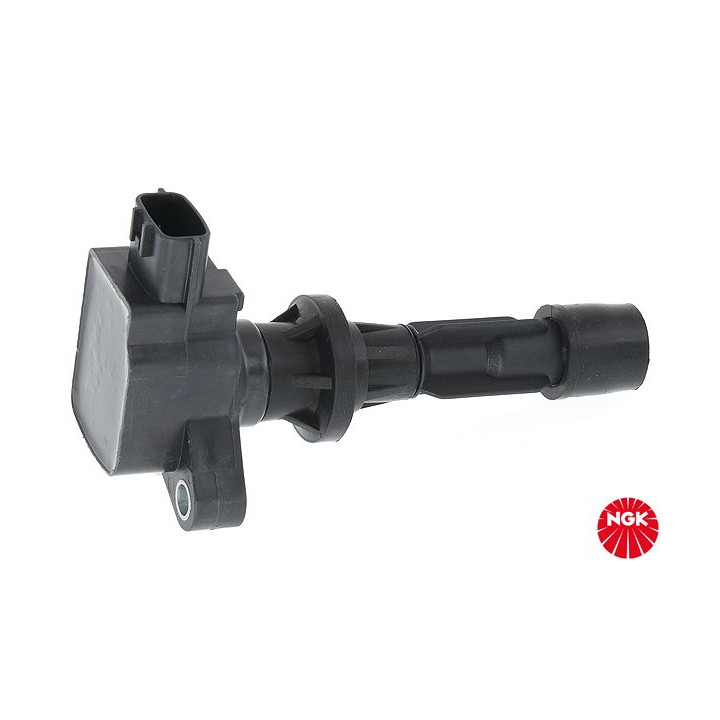 Ritė, uždegimas NGK 48229